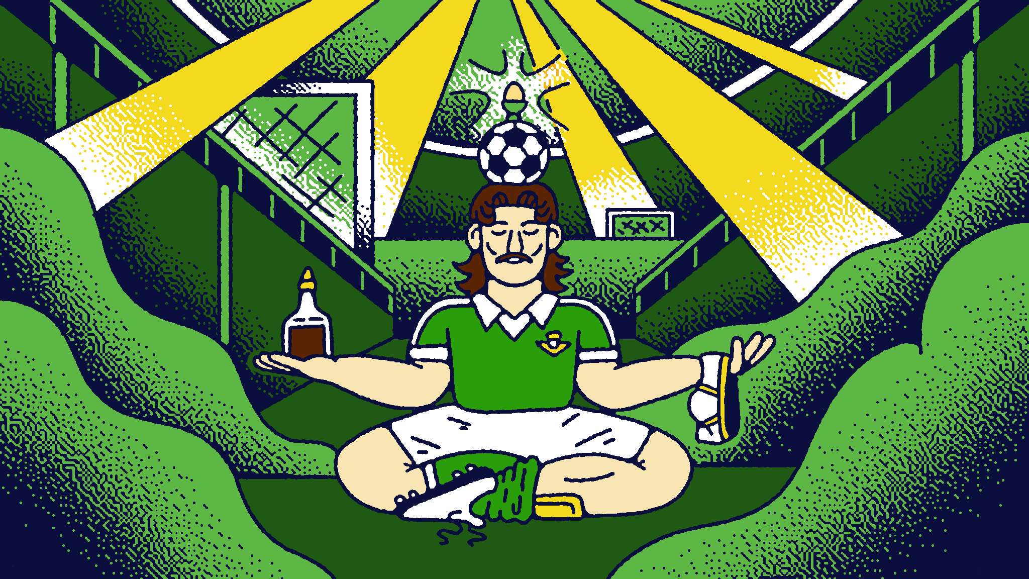 球迷带来了 球迷带来了