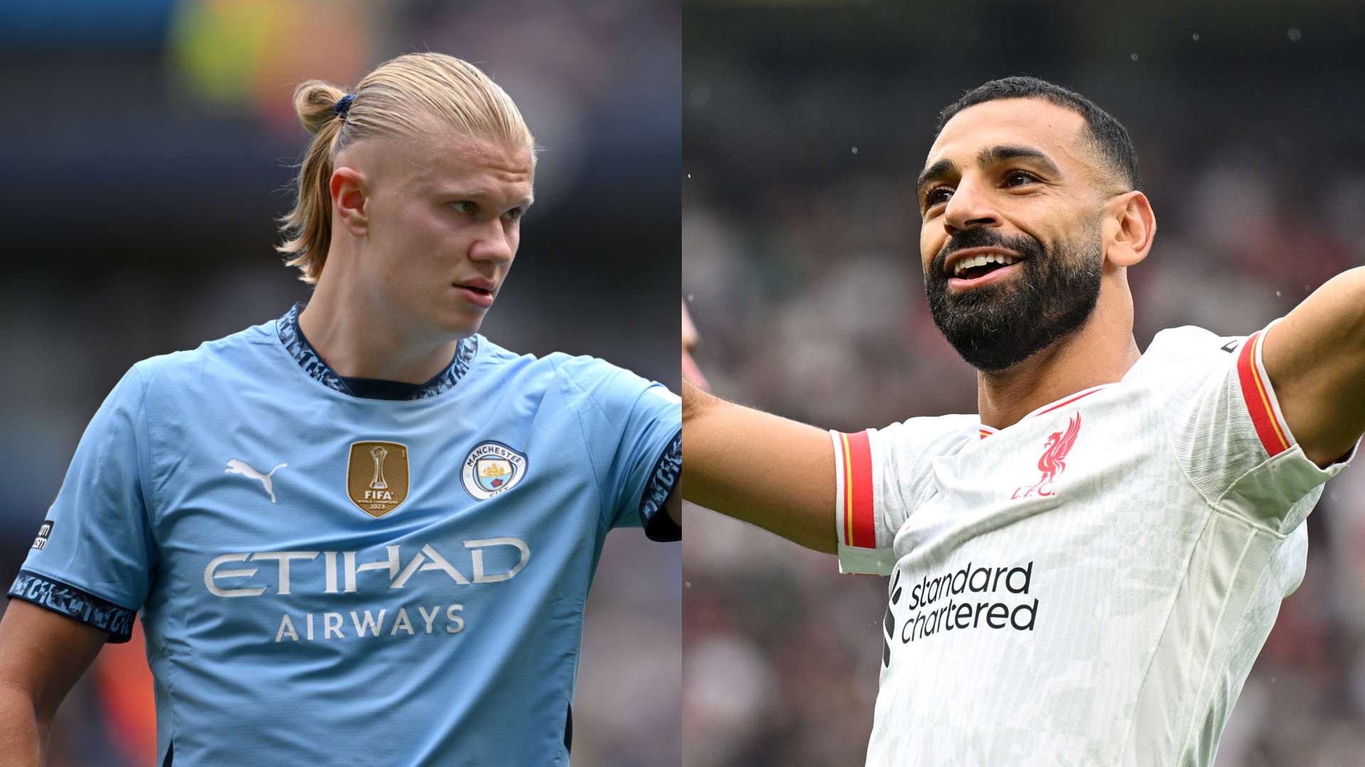 在以其独特 在以其独特