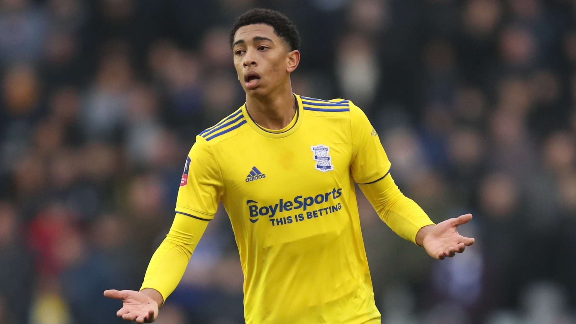 向绿色和环 向绿色和环